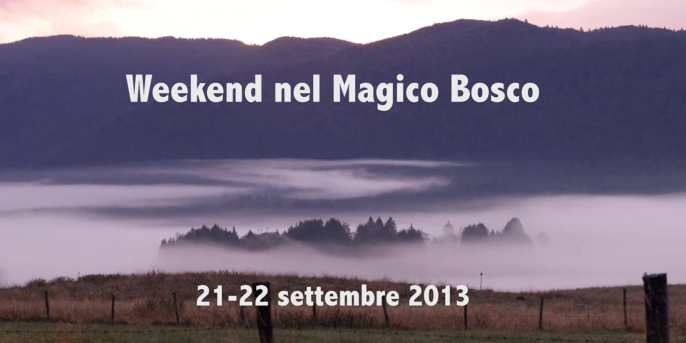 Un Week-end nel Magico Bosco